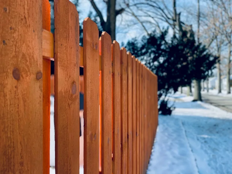 Cedar Privacy Fence example